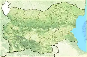 Vidin se află în Vidin