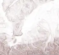 Topografia reliefului din zona Racoviței. Elevaţie 3m.