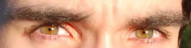 Culoarea căpruie a ochilor cu o nuanță verzuie