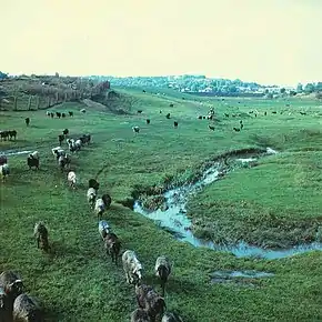Panoramă din anii 1980.