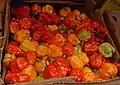 Scotch bonnet (C. chinense) in a Caribbean market
