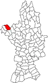 Amplasarea în cadrul județului