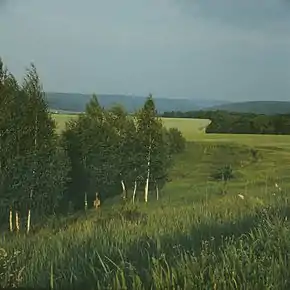 În vecinătatea satului (1980)