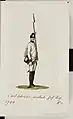 Uniforma Regiment Nr. 7 Schröder