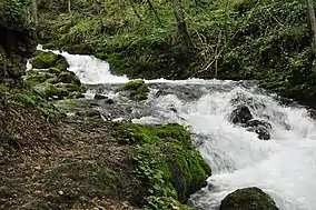 Imagine din rezervație