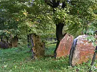 Cimitirul evreiesc din Rymanów