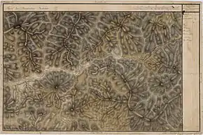 Poiana Ilvei în Harta Iosefină a Transilvaniei, 1769-73.(Click pentru imagine interactivă)