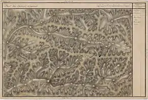 Mărișel pe Harta Iosefină a Transilvaniei, 1769-1773(Click pentru imagine interactivă)