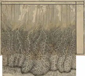 Arpașu de Sus în Harta Iosefină a Transilvaniei, 1769-1773