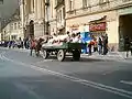 Junii Brașoveni (începutul paradei)