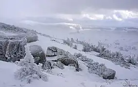 Iarnă în Parcul Național Karkonoski

 Logo-ul parcului


Loc inclus în programul mondial al UNESCO „Omul și Biosfera” (MAB)