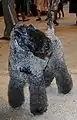 Kerry Blue Terrier