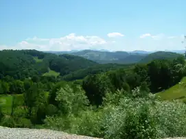 Perspectivă actuală