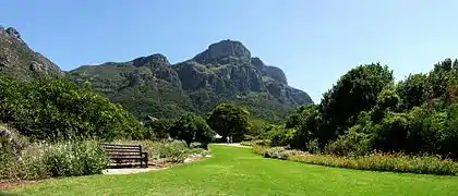 Grădina Botanică Națională Kirstenbosch