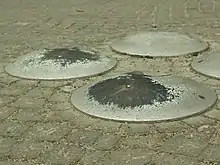 Farfurii rotunde bombate