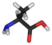Alanina conține o grupare amino grefată pe un schelet de acid propanoic