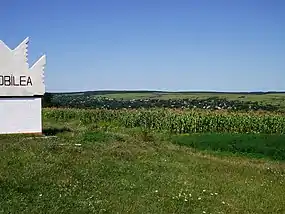 Panorama localității