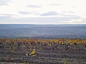 Vedere îndepărtată.