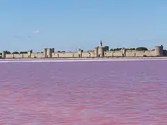 Aigues-Mortes.