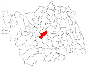 Amplasarea în cadrul județului