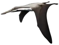 Imagine indisponibilă