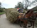 Lujerdiu - Căratul fânului.
