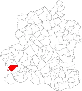 Amplasarea în cadrul județului