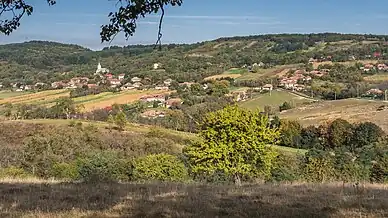 Maladia vazuta de pe dealul Casa Mosului