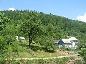 Imagine din satul Maidan