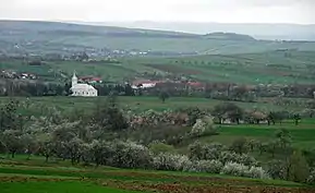 Biserica din Mal, văzută de pe deal.