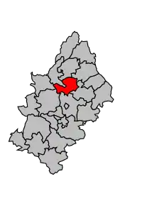 Cantonul Estaing în cadrul arondismentului