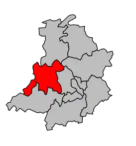 Cantonul Savigny-sur-Braye în cadrul arondismentului