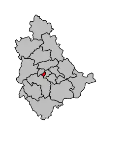 Cantonul Le Puy-en-Velay-Sud-Ouest în cadrul arondismentului