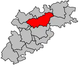 Cantonul Caussade în cadrul arondismentului