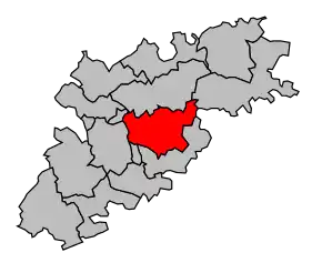 Cantonul Nègrepelisse în cadrul arondismentului