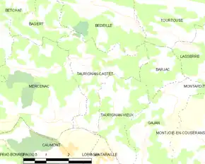 Poziția localității Taurignan-Castet