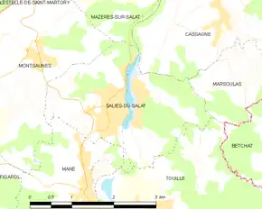 Poziția localității Salies-du-Salat