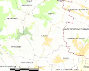 Poziția localității Fleurie