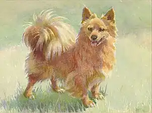 Cânele reginei Victoria