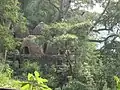 Colibe de meditație la vechiul ashram Maharishi Mahesh Yogi⁠(d), în prezent în ruine, din Muni Ki Reti