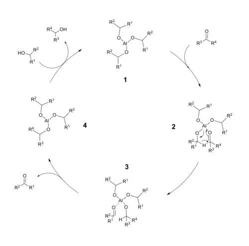 Meerwein–Ponndorf–Verley reduction catalytic cycle