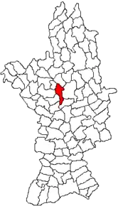 Amplasarea în cadrul județului