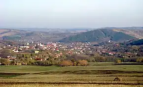 Panoramă din drumul spre Bercheșu