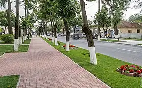 Strada Vasile Lupu, una din principalele artere din oraș.