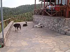 Refugiul montan Stavros (Dimitrios Boundolas)