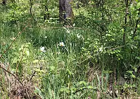 Imagine din rezervație