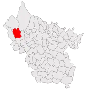 Poziția localității Nehoiu