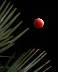 New Plymouth, Noua Zeelandă, 9:03 UTC