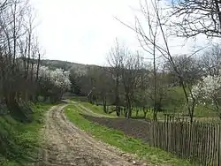 Peisaj la Nucșoara de Sus