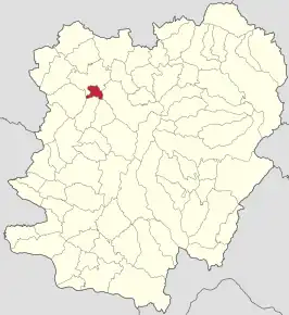 Amplasarea în cadrul județului